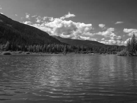 Natural tranquillity bw
