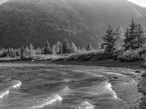 Waves bw