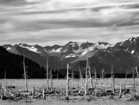 Beautiful ruin bw