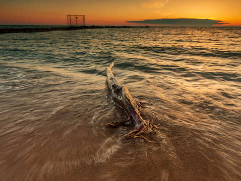 Sunrise water dance