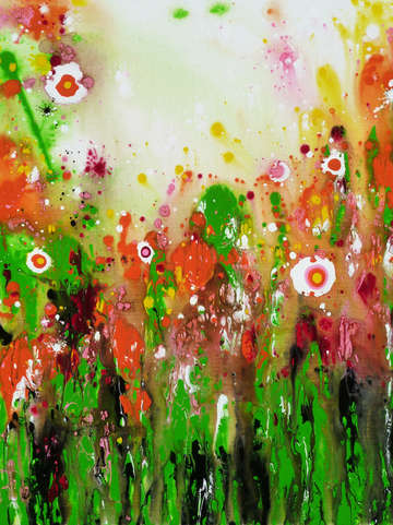 Wonderland 8