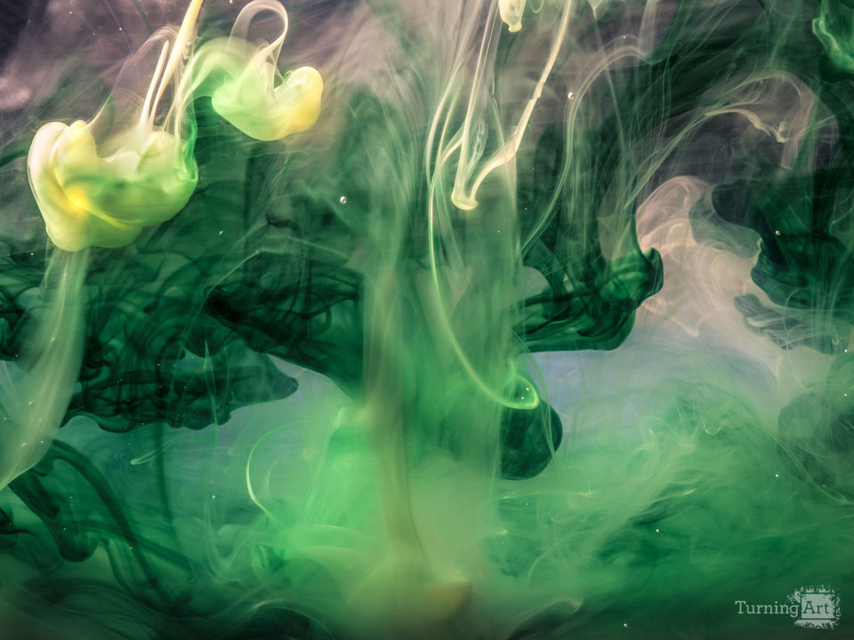 Monets dream 2