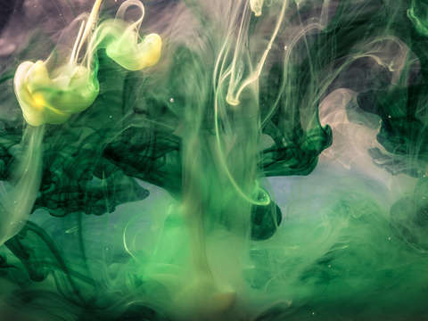 Monets dream 2