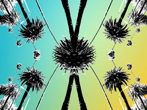 Abstract palms
