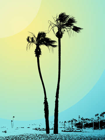 Double palms