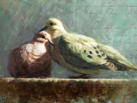 Doves in love 2