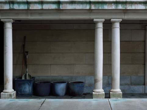 Visions of new york urban pastoral