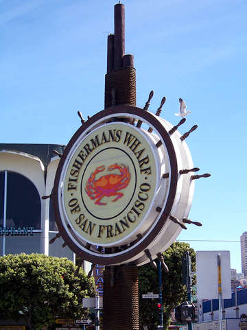 Sf 03