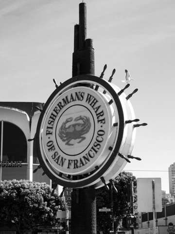 Sf 03bw