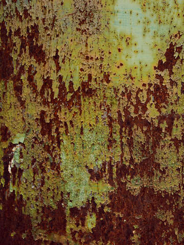 Pretty green abstract texture i