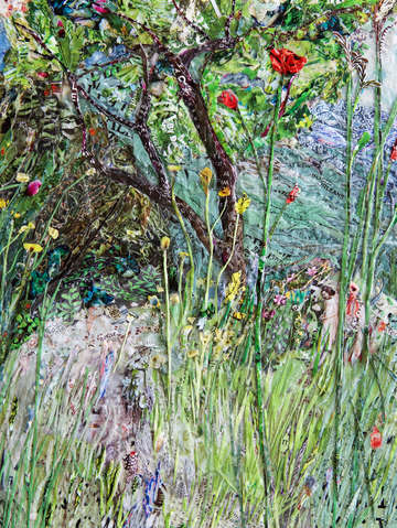 Mauros fields