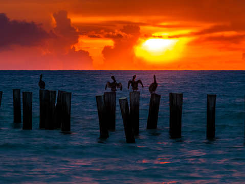 Sunset stooges