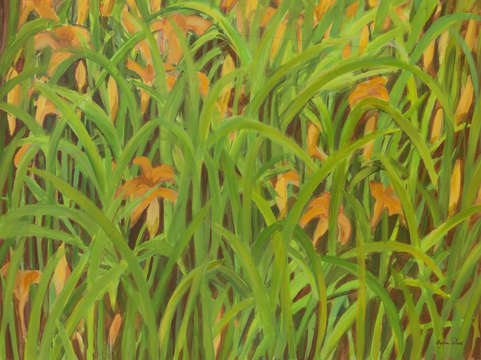 673 tiger lilies field