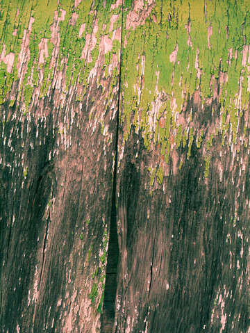 Pretty green abstract texture iii