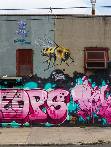Bushwick bee