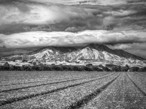 Mt diablo
