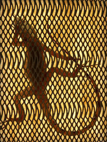 Burning man