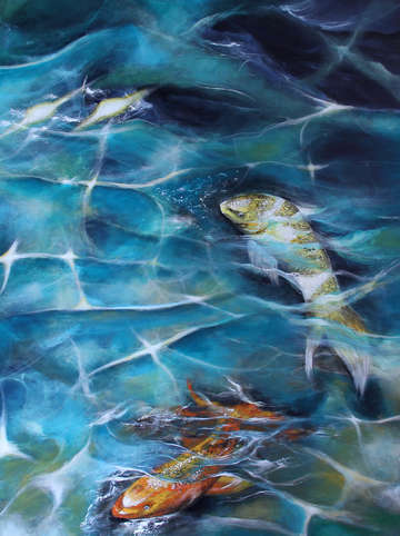 Koi fish3