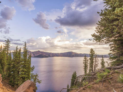 Showing my roots at crater lake