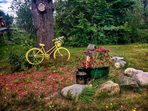 Yellow bike img 5195