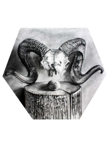 Ram skull still life after georgia