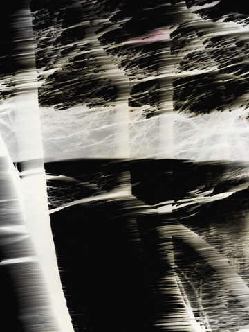 Displacements 9157