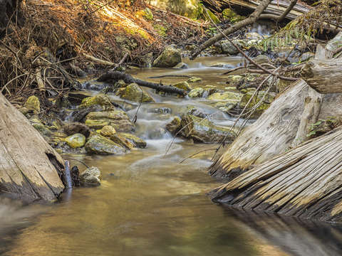 Quiet at limekiln creek