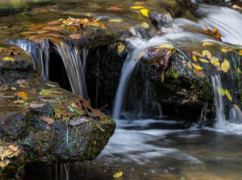Leaves and waterfalls