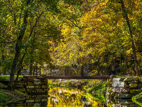 Reflections beginning painterly