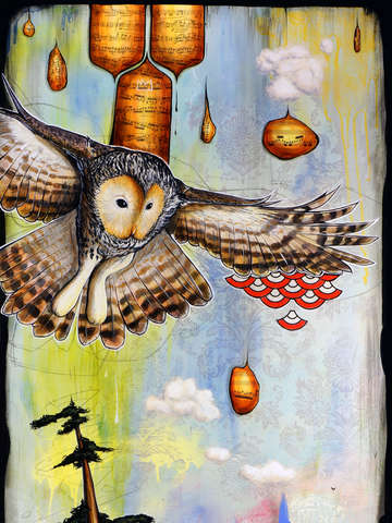Owl