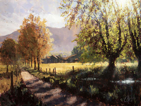French alps in summer