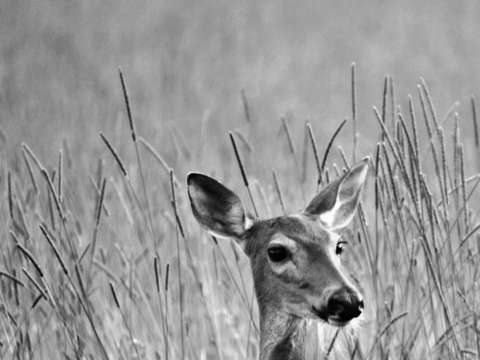 On watch