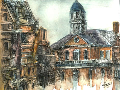 Harvard yard roofs