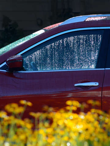 Early morning dew 2