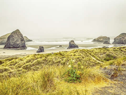 Greetings from meyer creek beach