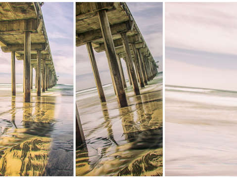 Summer at scripps triptych