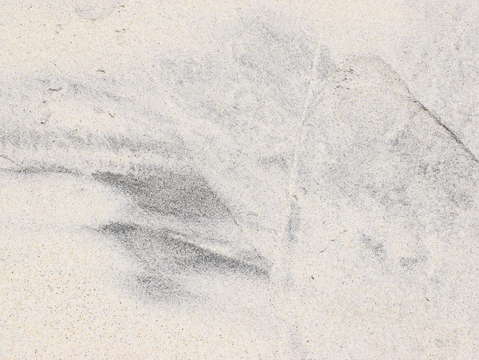 Sands of oceanside 33