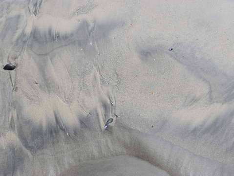Sands of oceanside 29