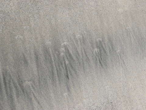 Sands of oceanside 24
