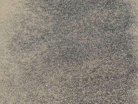 Sands of oceanside 19