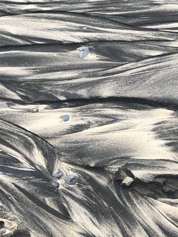 Sands of oceanside 1