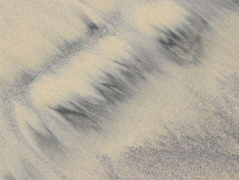 Sands of oceanside 21