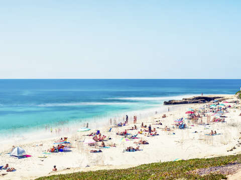 Windansea summer beach