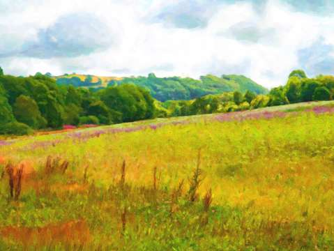 Flower meadow and green hills