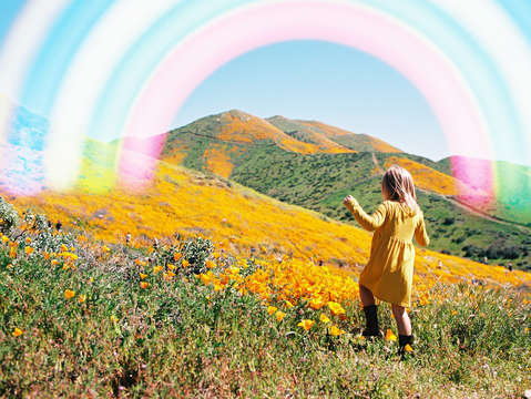 Arch to neverland