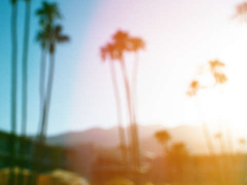Palm springs at sunset