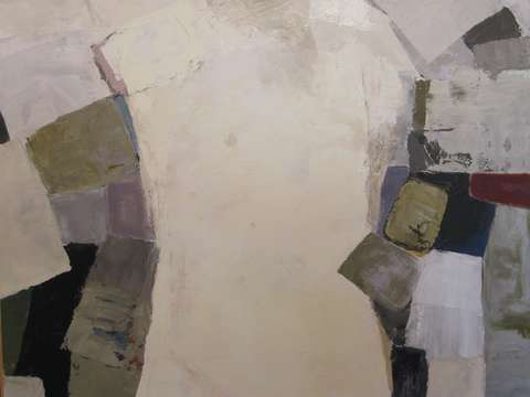 Torso