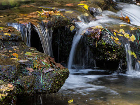Leaves and waterfalls 2