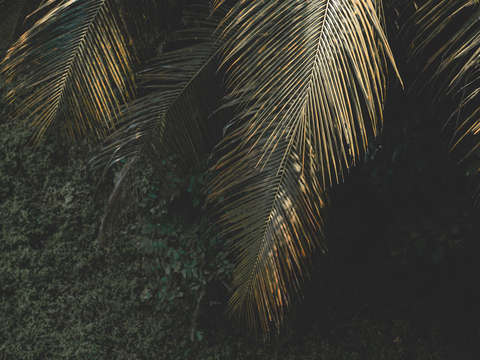 Coast 5