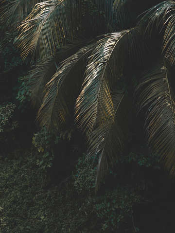 Coast 6